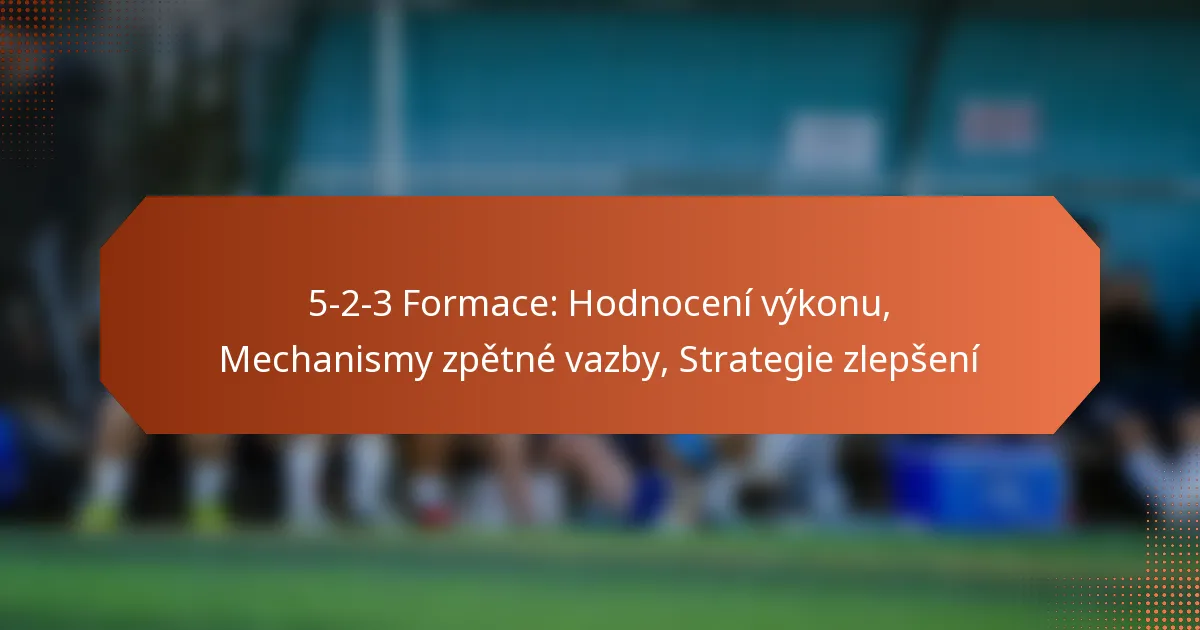 featured-image-5-2-3-formace-hodnoceni-vykonu-mechanismy-zpetne-vazby-strategie-zlepseni