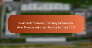 featured-image-povinnosti-brankare-techniky-zastavovani-strel-dovednosti-v-distribuci-ve-formaci-5-2-3